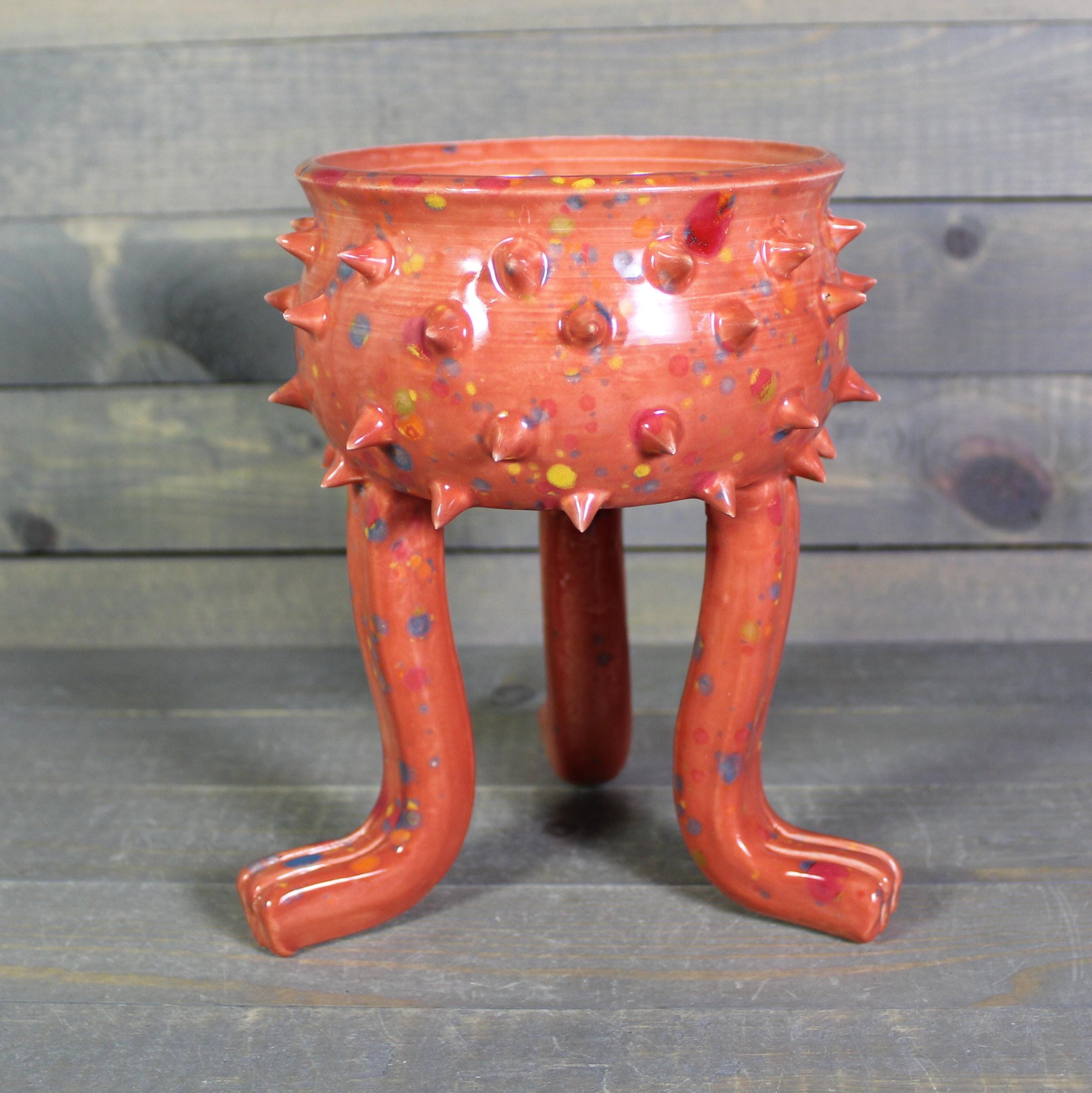 https://i.etsystatic.com/5126974/r/il/689aa0/6868324273/il_fullxfull.6868324273_mi04.jpg