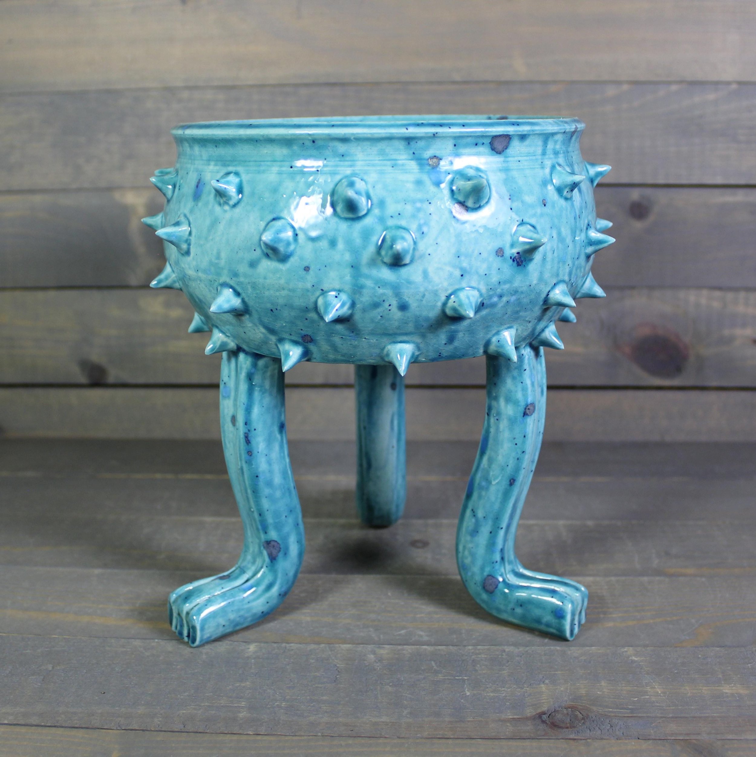 https://i.etsystatic.com/5126974/r/il/dfd682/6553522883/il_fullxfull.6553522883_nmal.jpg