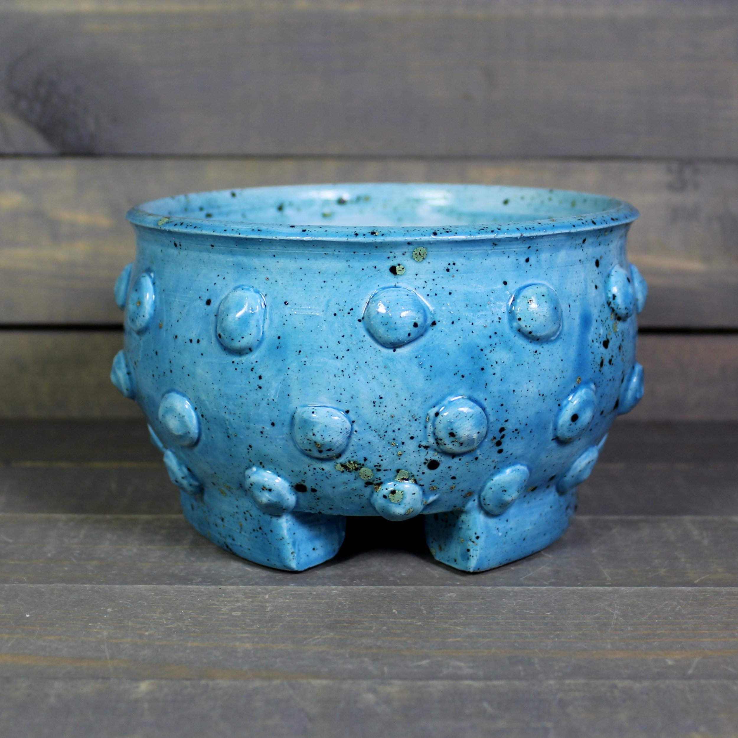 https://i.etsystatic.com/5126974/r/il/0479dd/6496987014/il_fullxfull.6496987014_jgpl.jpg
