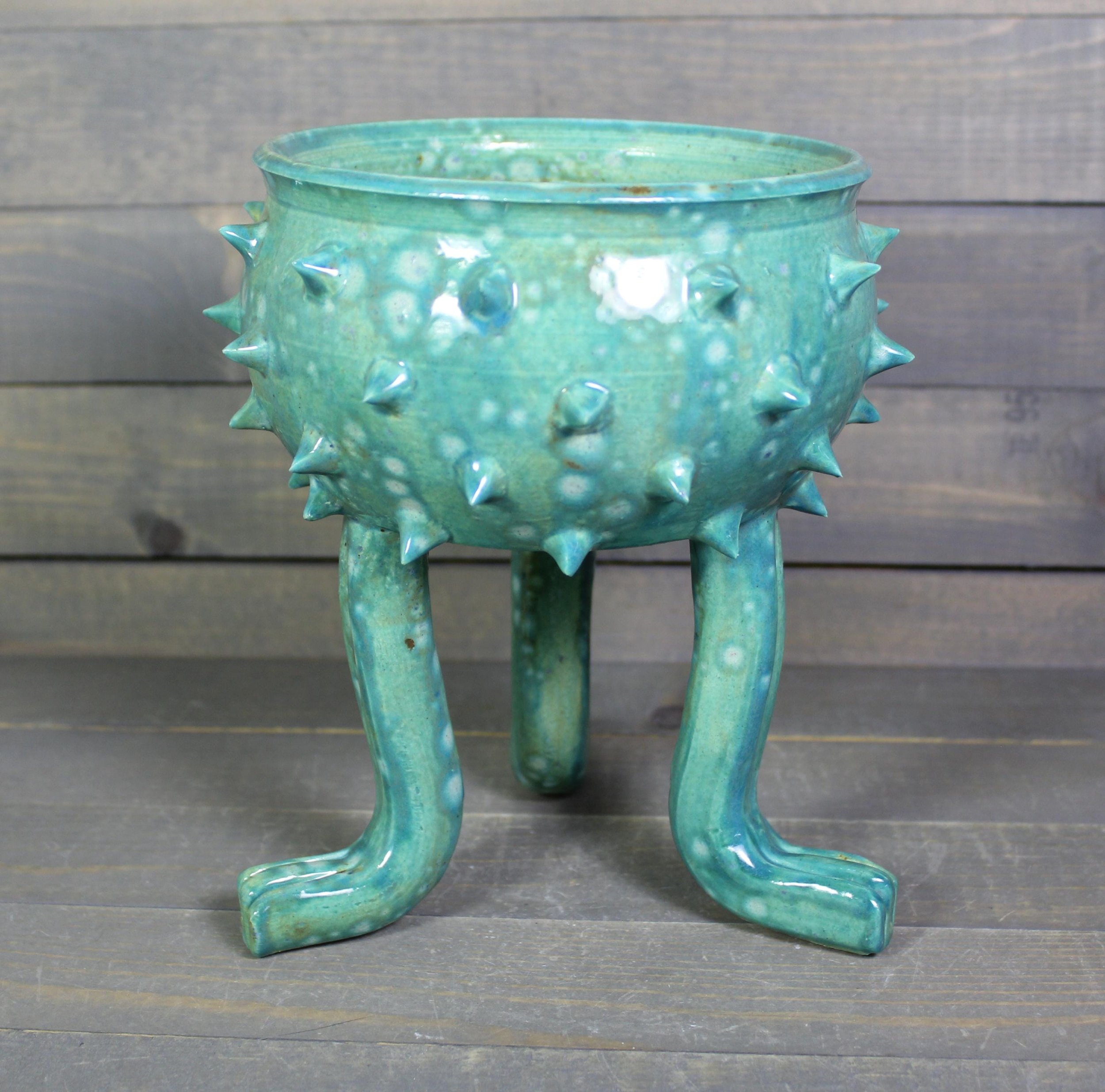 https://i.etsystatic.com/5126974/r/il/80e8e2/6719998574/il_fullxfull.6719998574_q4sw.jpg