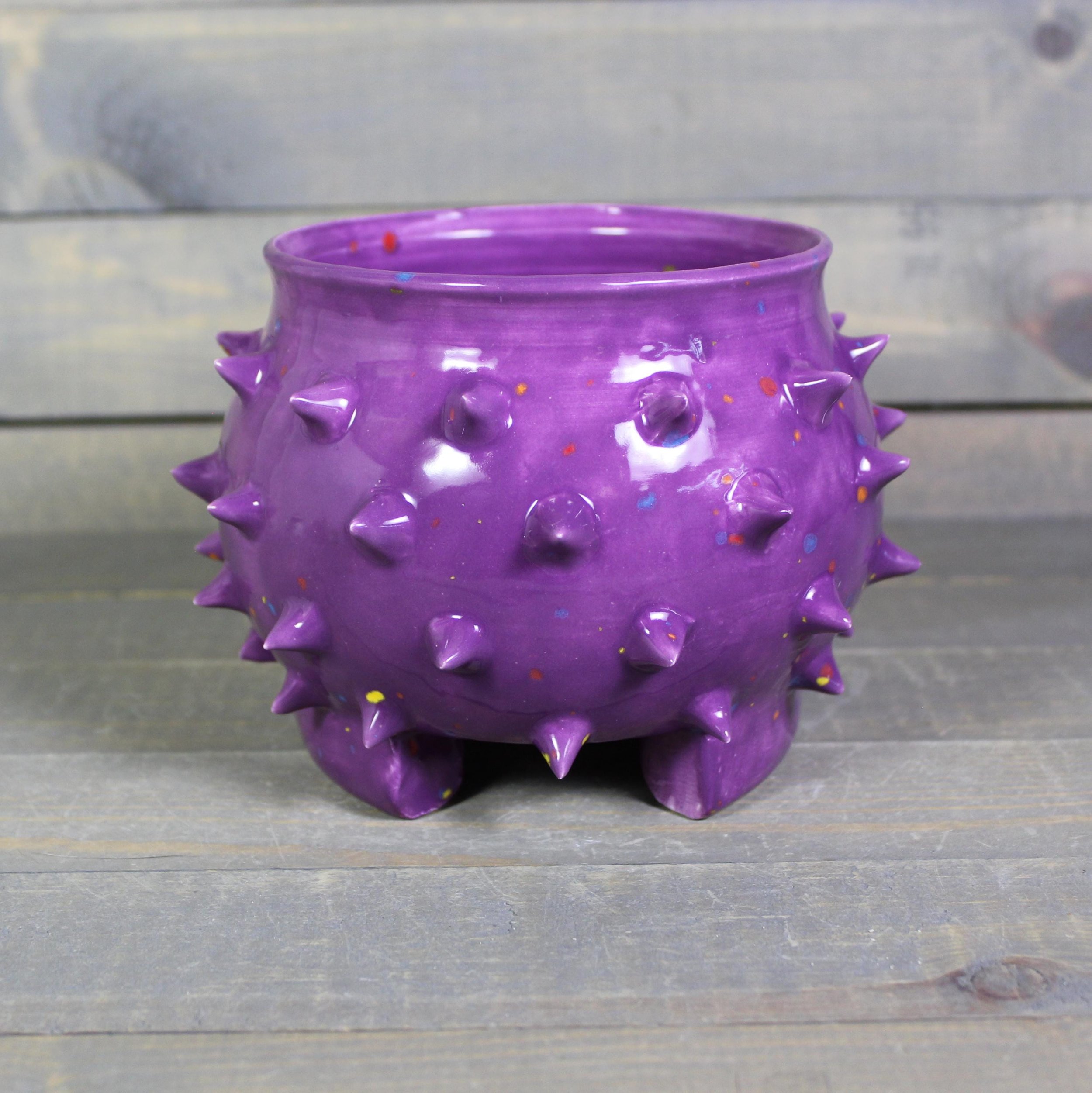 https://i.etsystatic.com/5126974/r/il/fcf66e/6757527691/il_fullxfull.6757527691_qajn.jpg