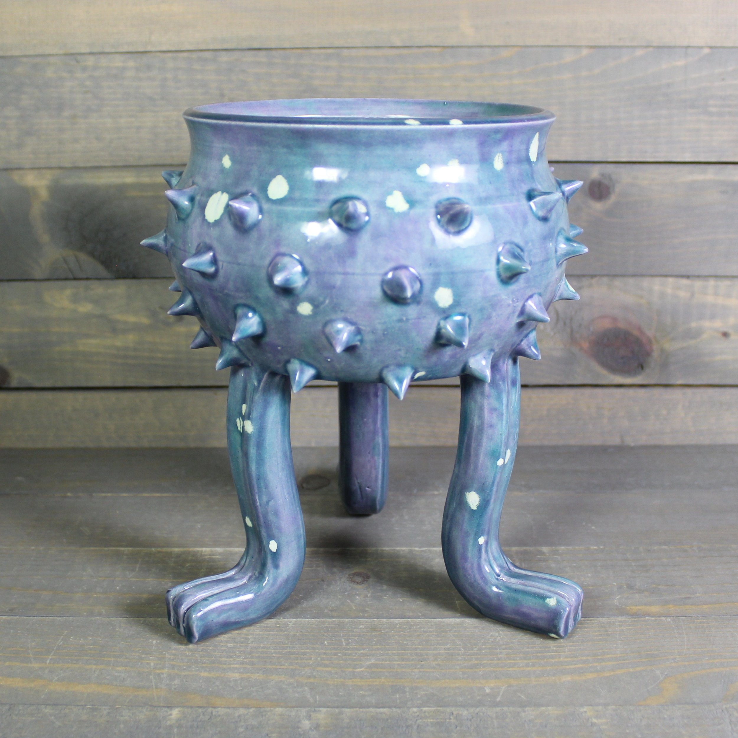 https://i.etsystatic.com/5126974/r/il/b9a3e1/6135347775/il_fullxfull.6135347775_4zzk.jpg