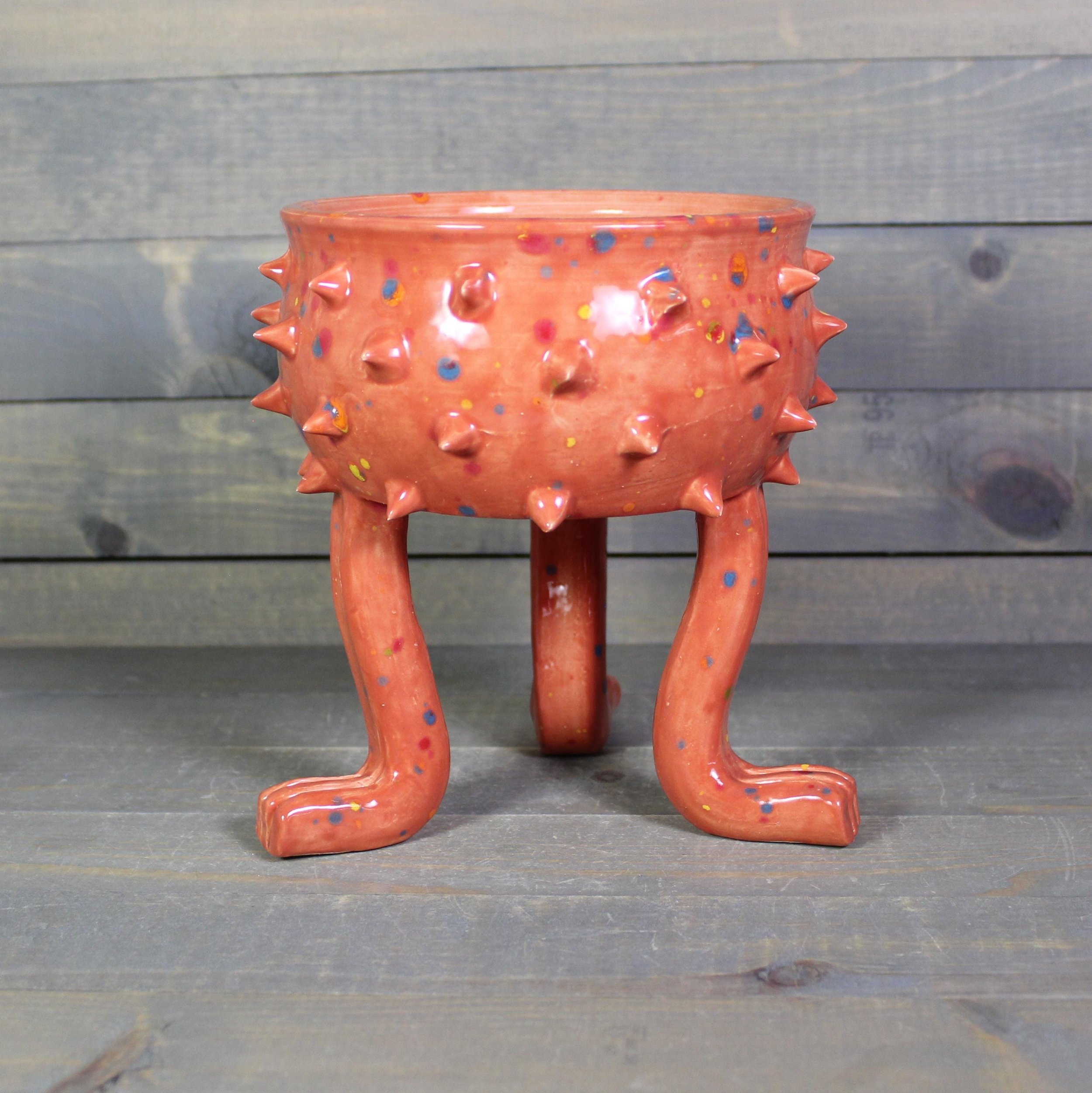 https://i.etsystatic.com/5126974/r/il/ca284a/7053898927/il_fullxfull.7053898927_ltta.jpg