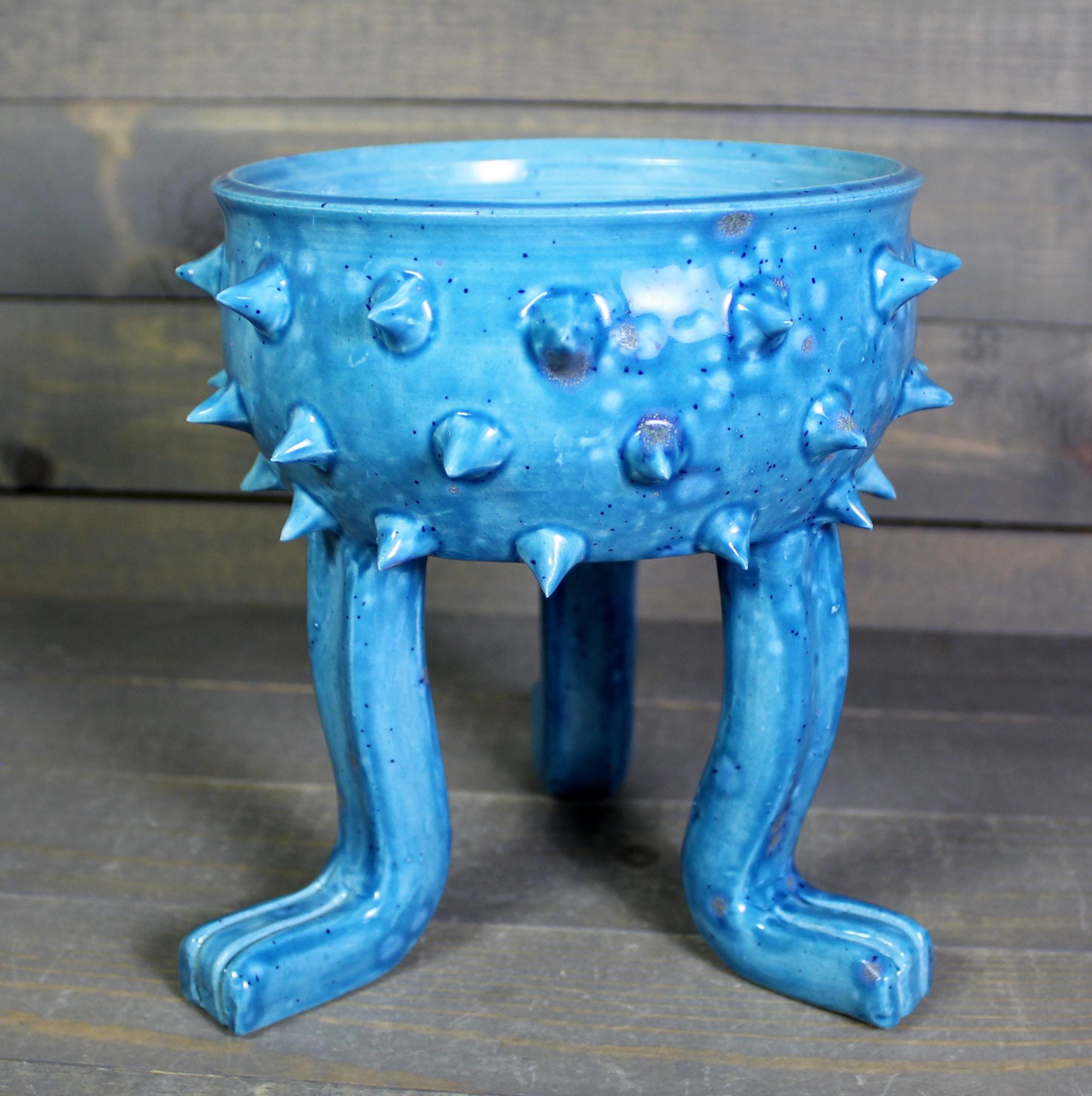 https://i.etsystatic.com/5126974/r/il/8cf9be/6388897461/il_fullxfull.6388897461_h50s.jpg