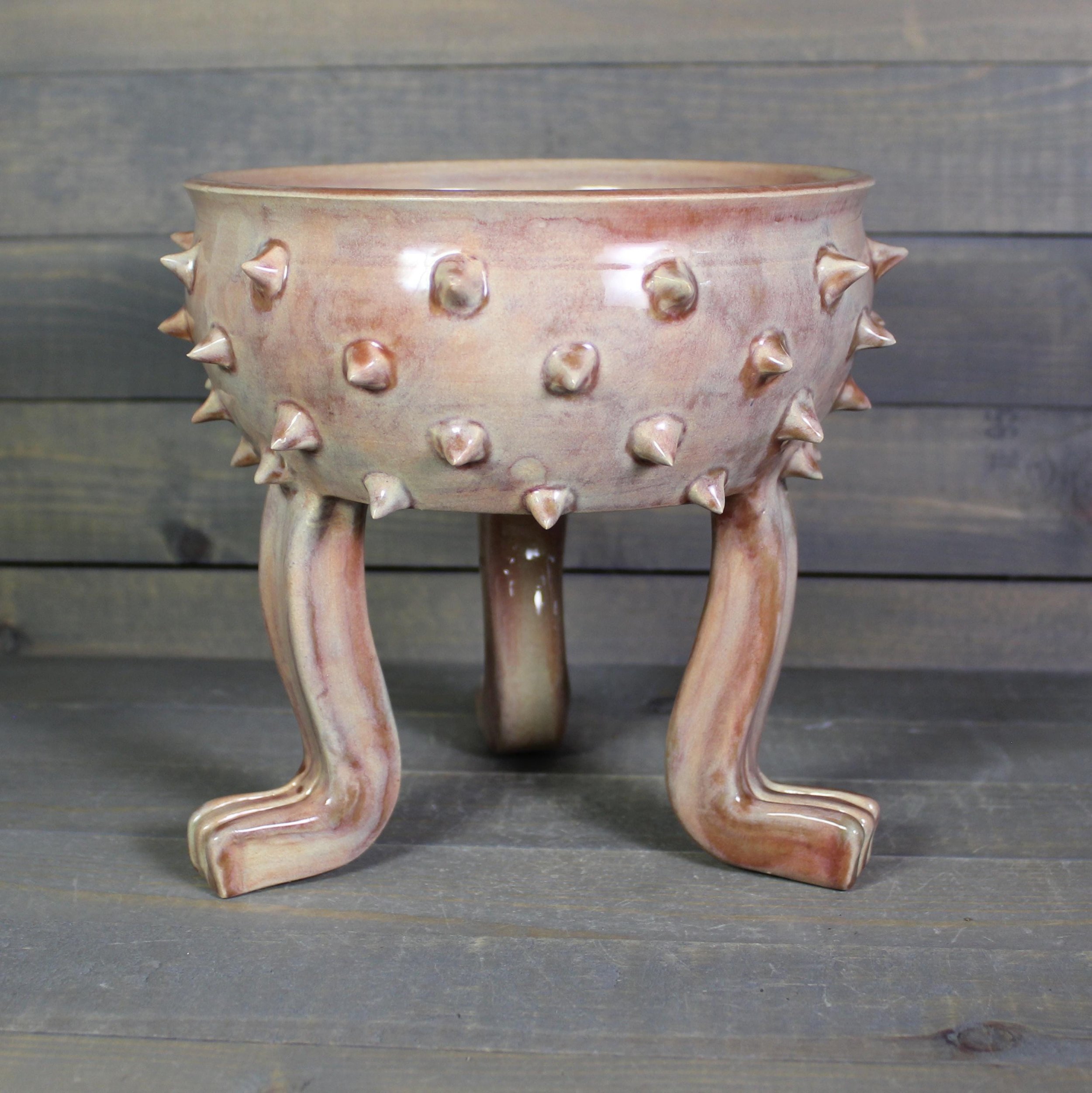 https://i.etsystatic.com/5126974/r/il/2f6a8b/6972867679/il_fullxfull.6972867679_atvk.jpg