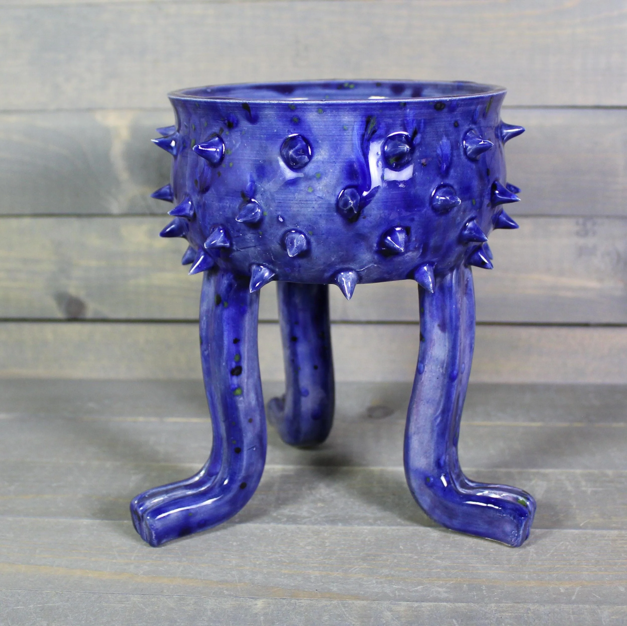 https://i.etsystatic.com/5126974/r/il/8124dd/6834565826/il_fullxfull.6834565826_tmvu.jpg