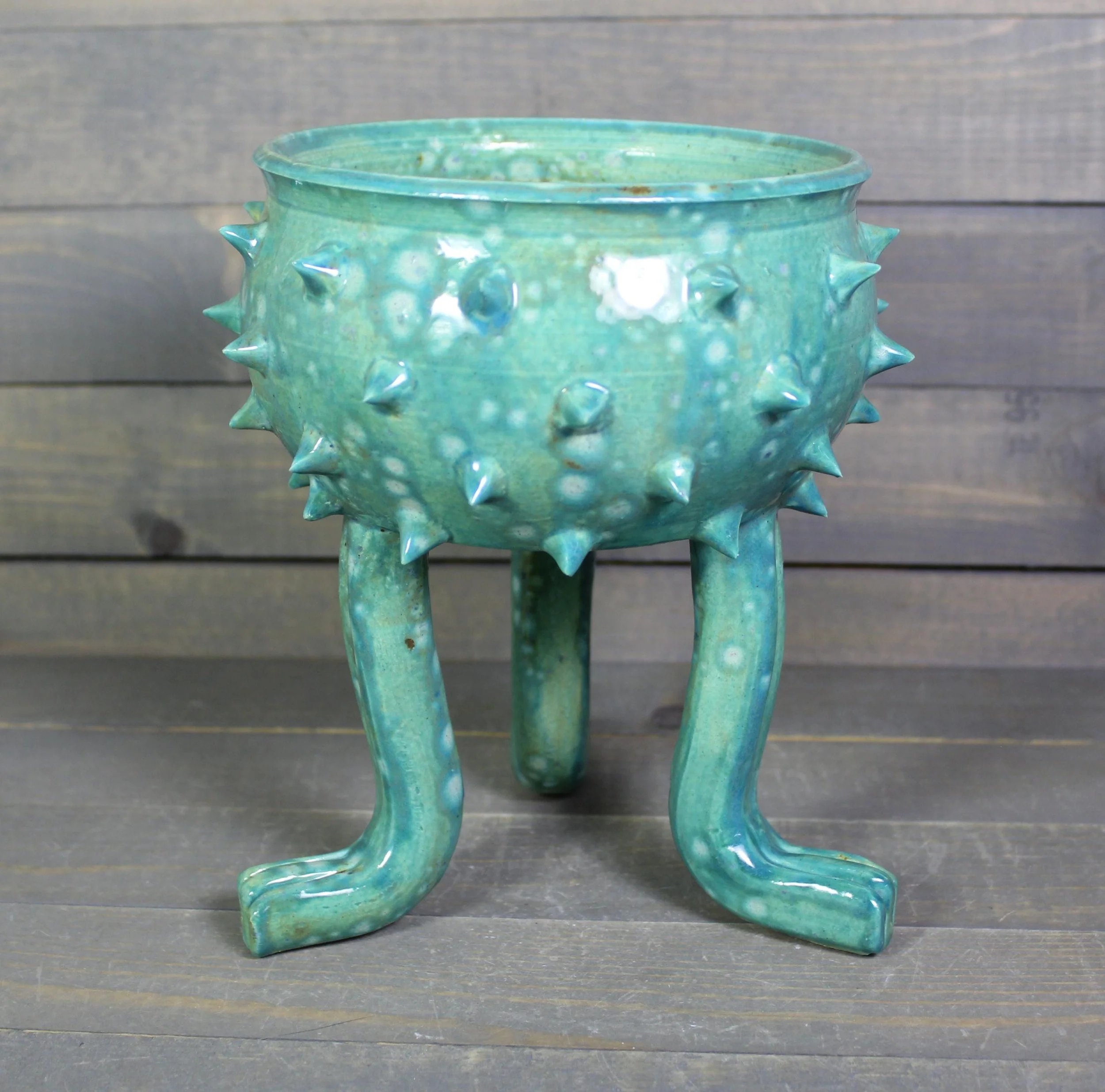 https://i.etsystatic.com/5126974/r/il/80e8e2/6719998574/il_fullxfull.6719998574_q4sw.jpg