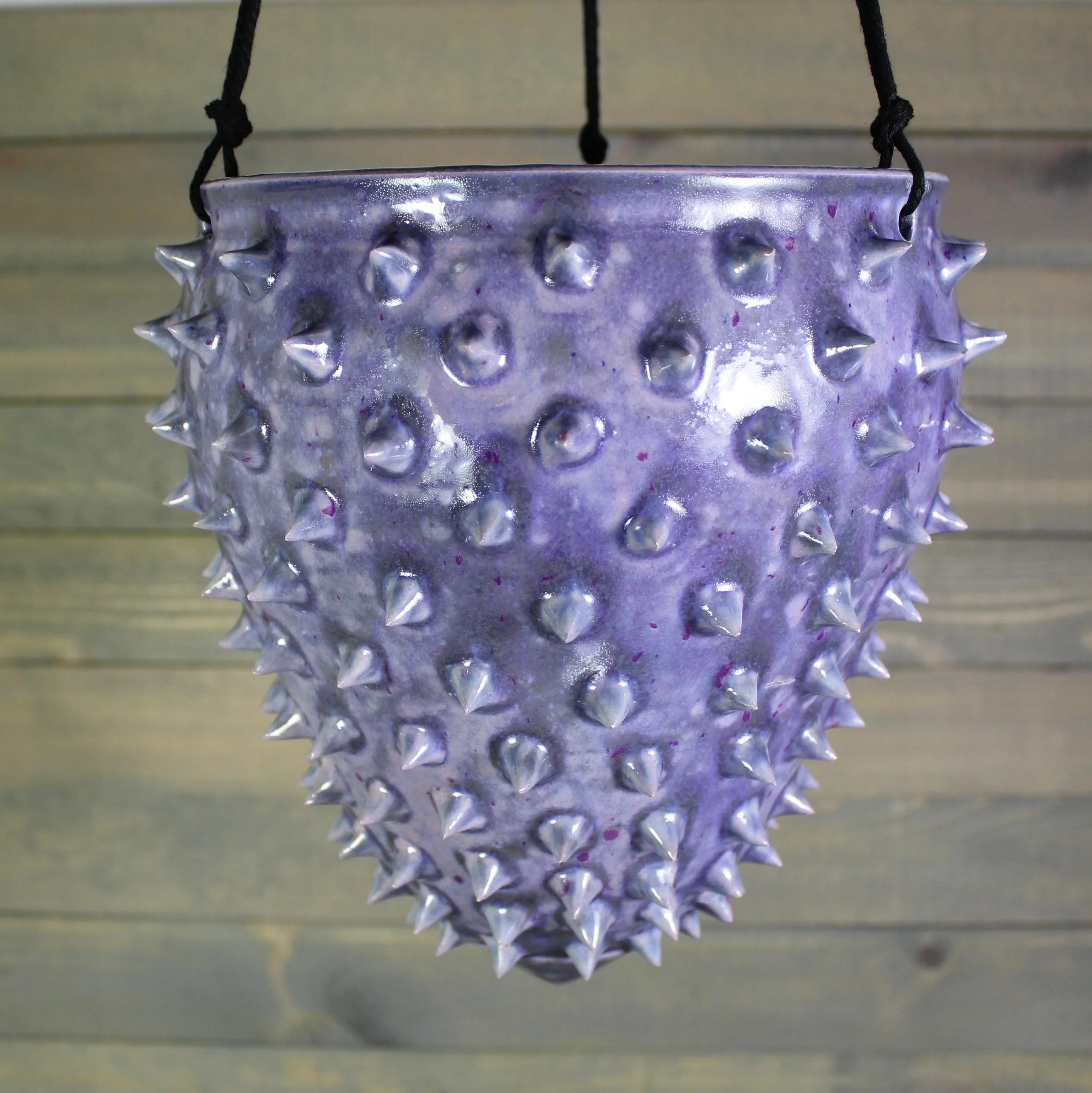 https://i.etsystatic.com/5126974/r/il/413b6e/6693825488/il_fullxfull.6693825488_oa4z.jpg