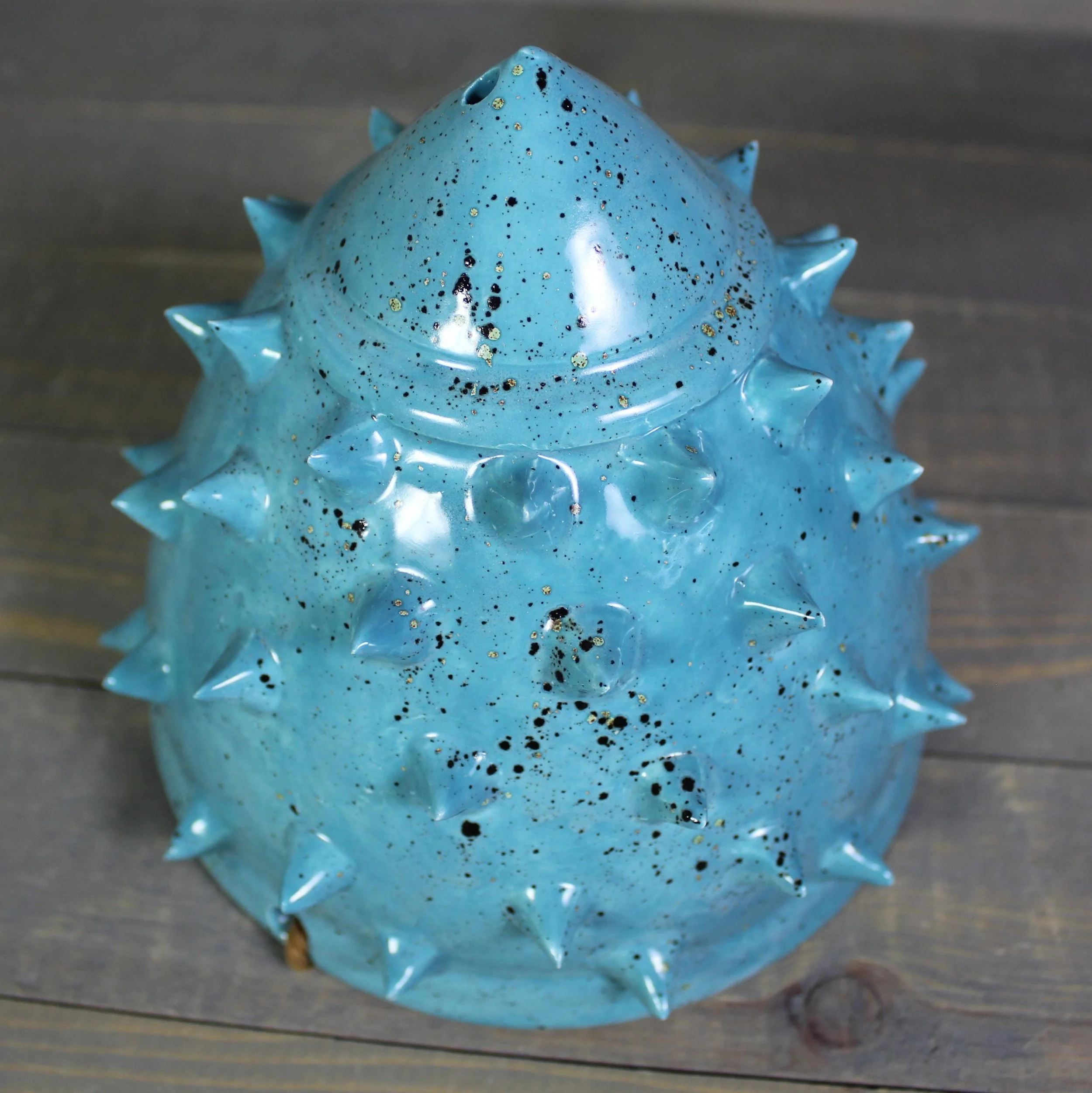 https://i.etsystatic.com/5126974/r/il/c8b96d/6900373588/il_fullxfull.6900373588_d3vt.jpg