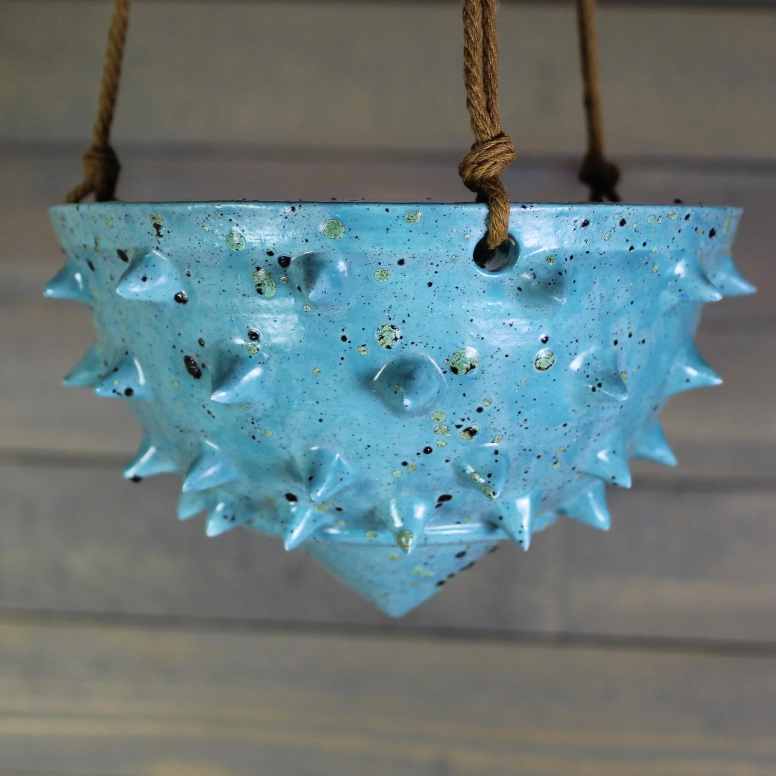 https://i.etsystatic.com/5126974/r/il/96dc23/7226331396/il_fullxfull.7226331396_ms9i.jpg