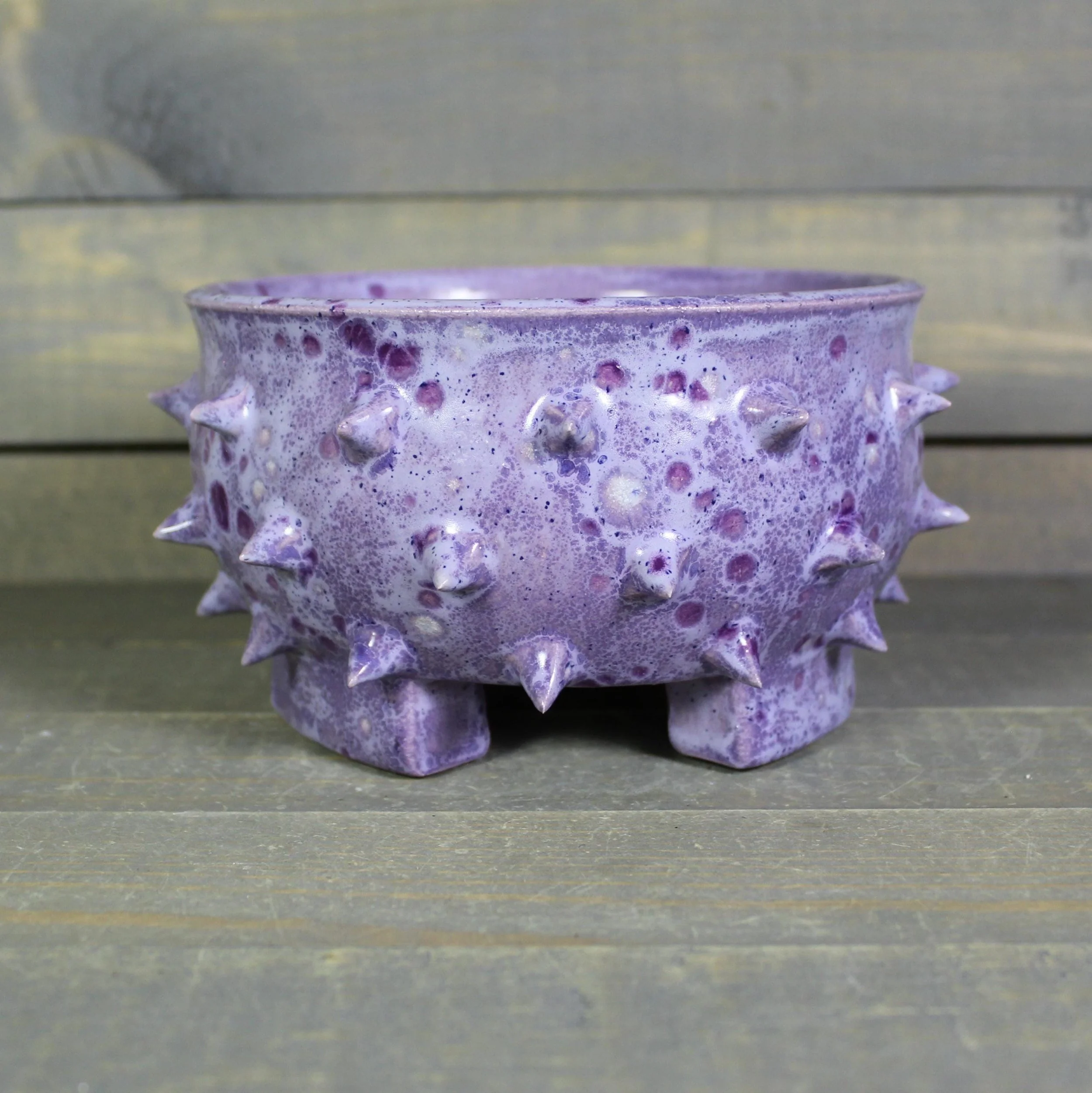 https://i.etsystatic.com/5126974/r/il/86127c/7324172907/il_fullxfull.7324172907_6c4e.jpg