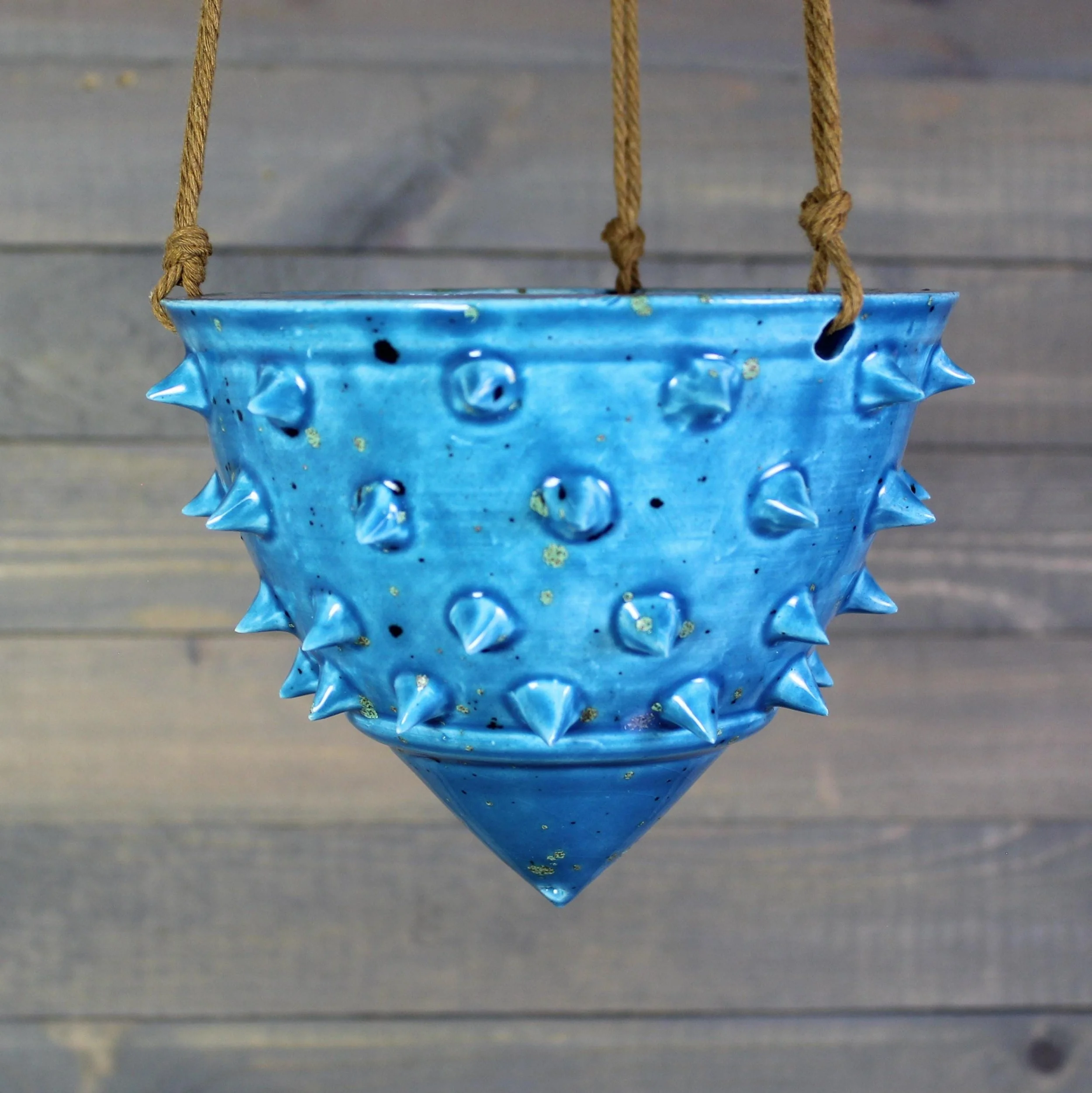 https://i.etsystatic.com/5126974/r/il/6288e7/8031720039/il_fullxfull.8031720039_pa9h.jpg