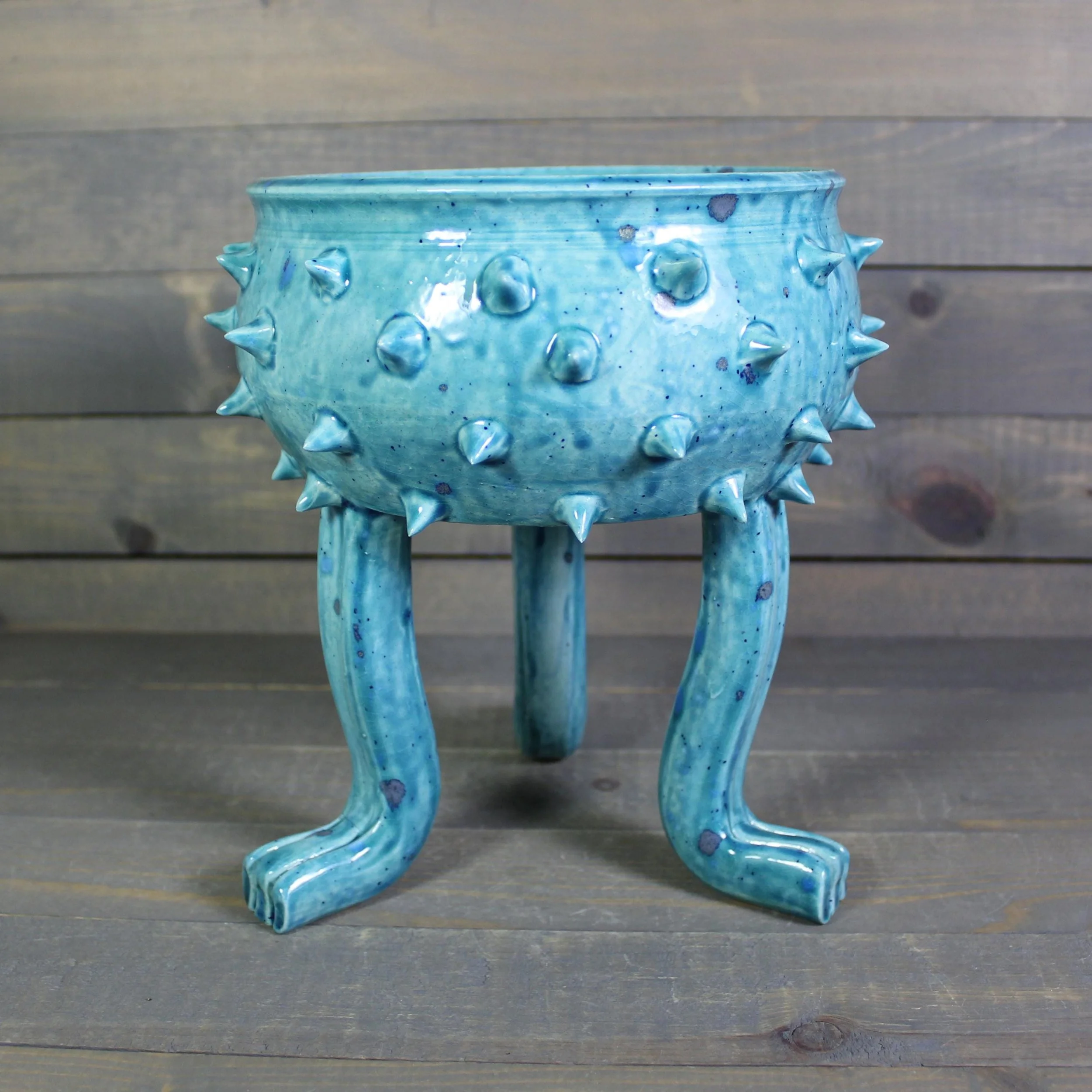 https://i.etsystatic.com/5126974/r/il/dfd682/6553522883/il_fullxfull.6553522883_nmal.jpg