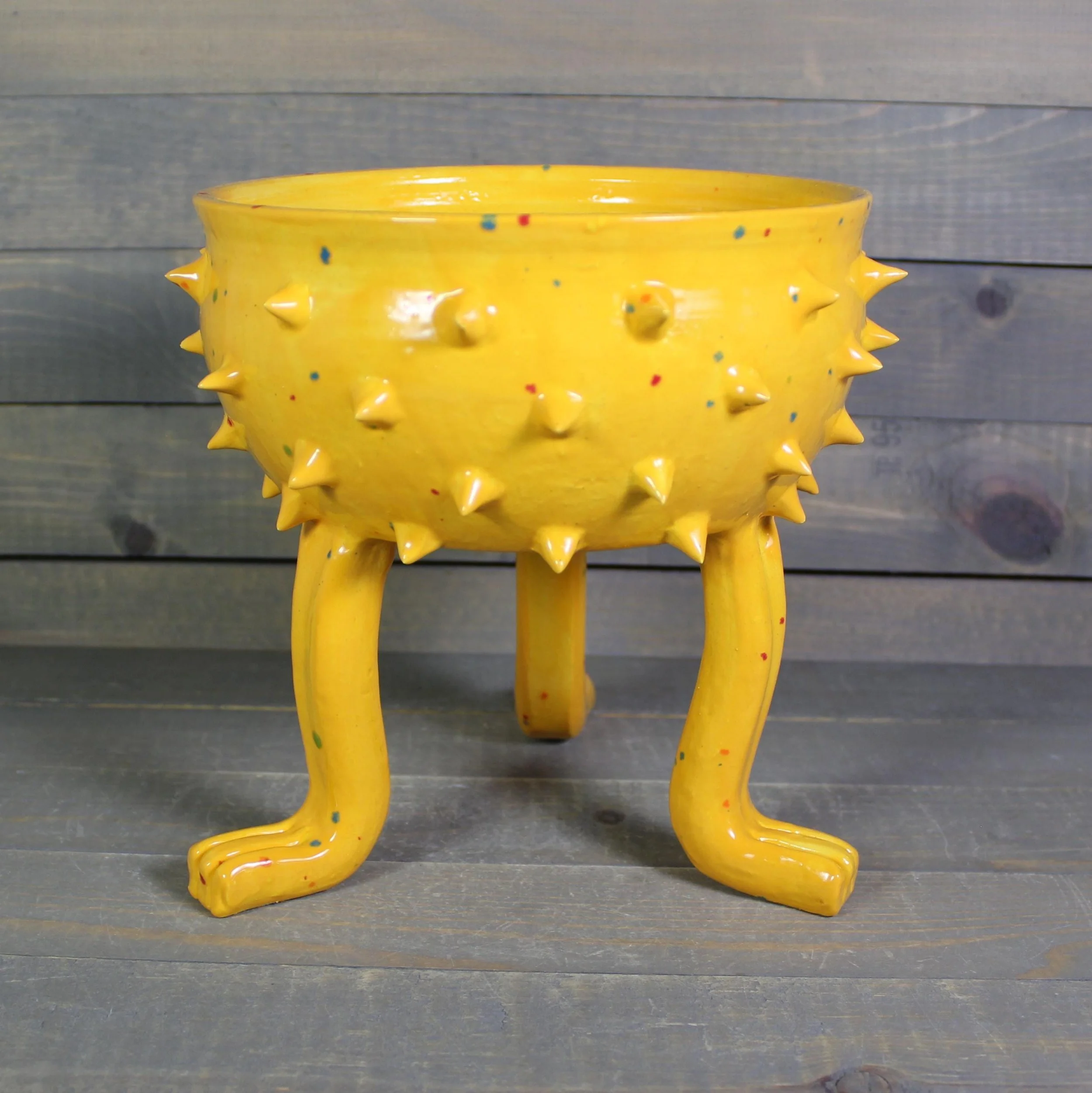 https://i.etsystatic.com/5126974/r/il/dbeeed/7827432045/il_fullxfull.7827432045_6tqa.jpg