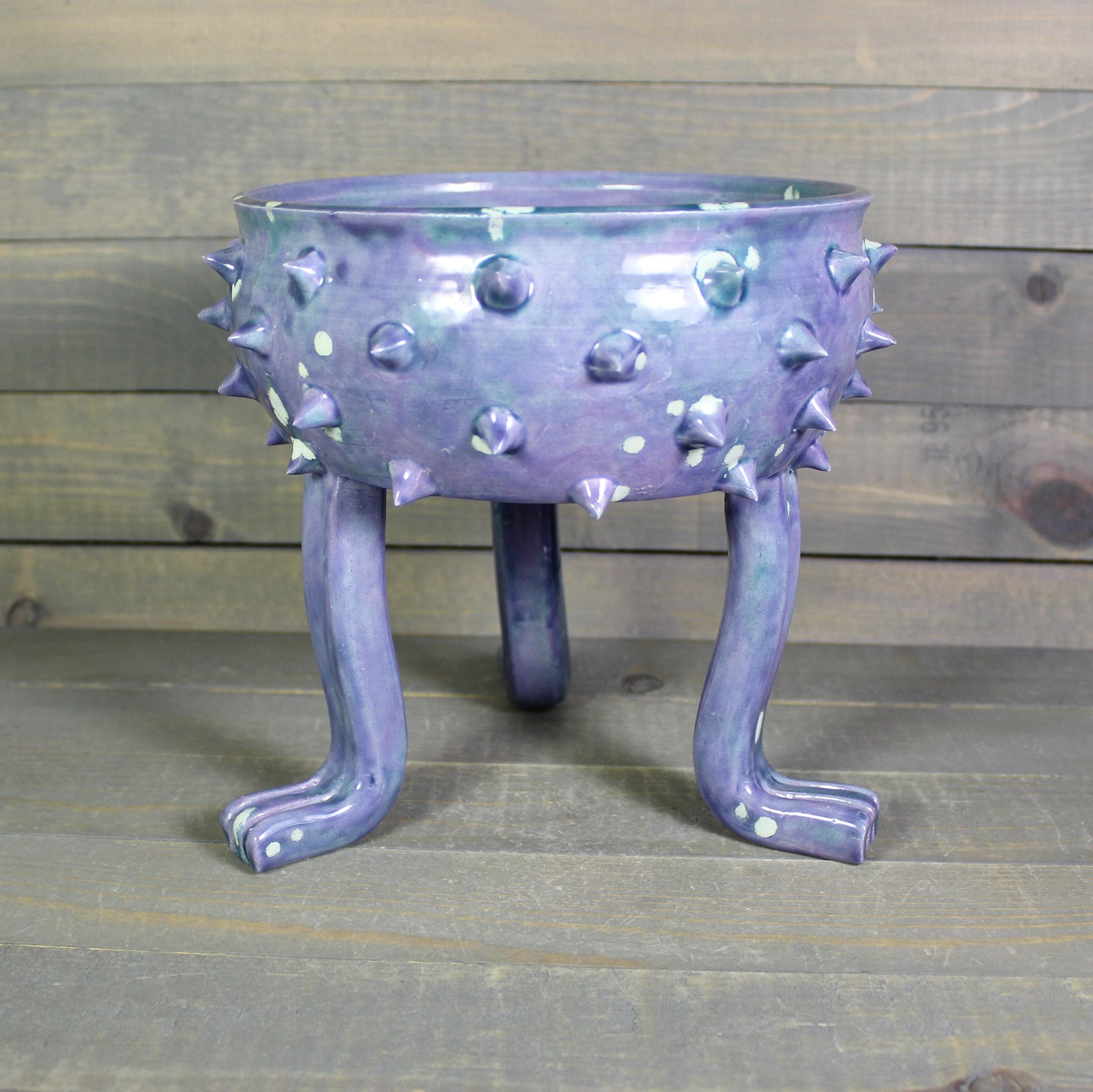 https://i.etsystatic.com/5126974/r/il/98a254/7598304091/il_fullxfull.7598304091_8jic.jpg