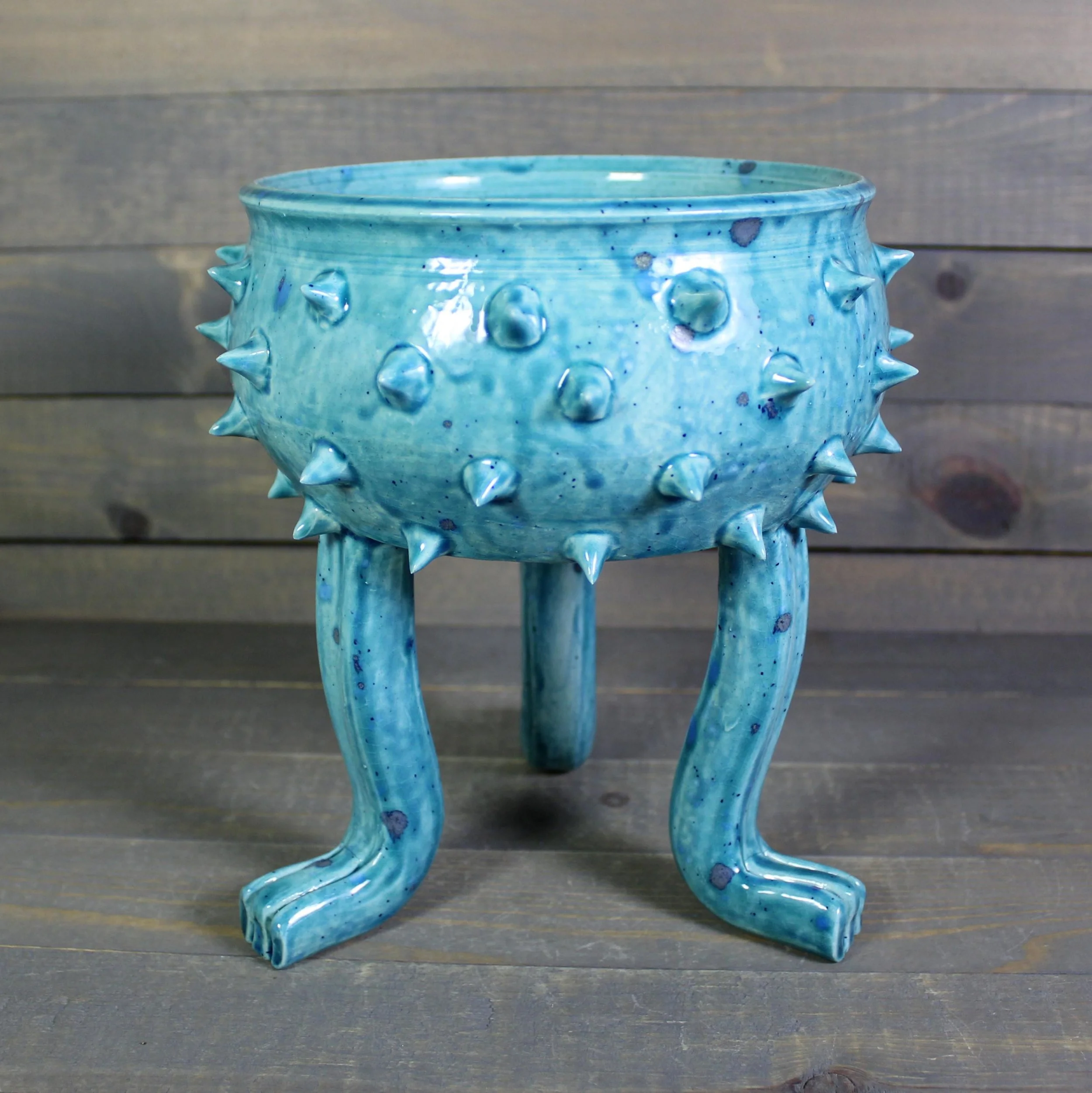 https://i.etsystatic.com/5126974/r/il/201db0/6505395030/il_fullxfull.6505395030_jmd2.jpg