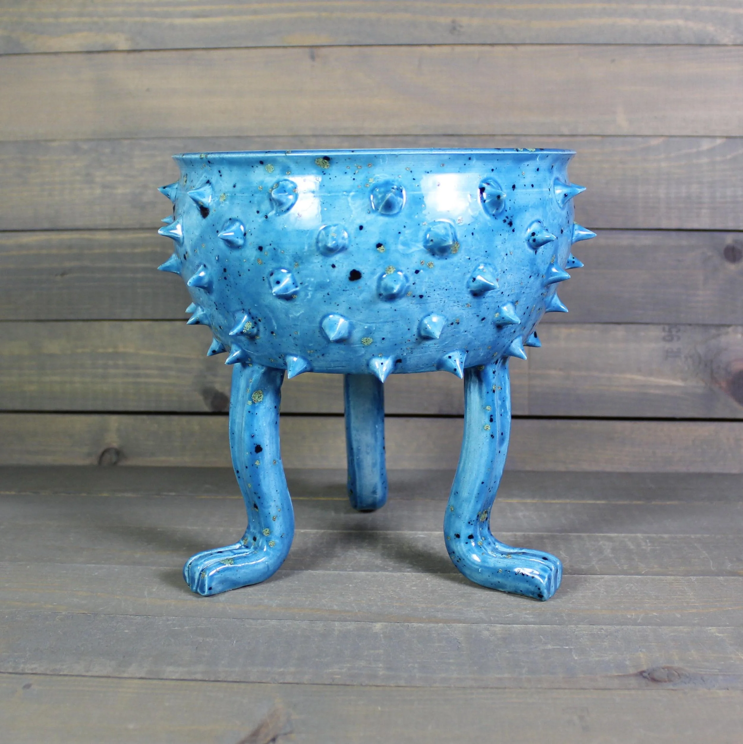 https://i.etsystatic.com/5126974/r/il/138ae8/7719778082/il_fullxfull.7719778082_gffs.jpg