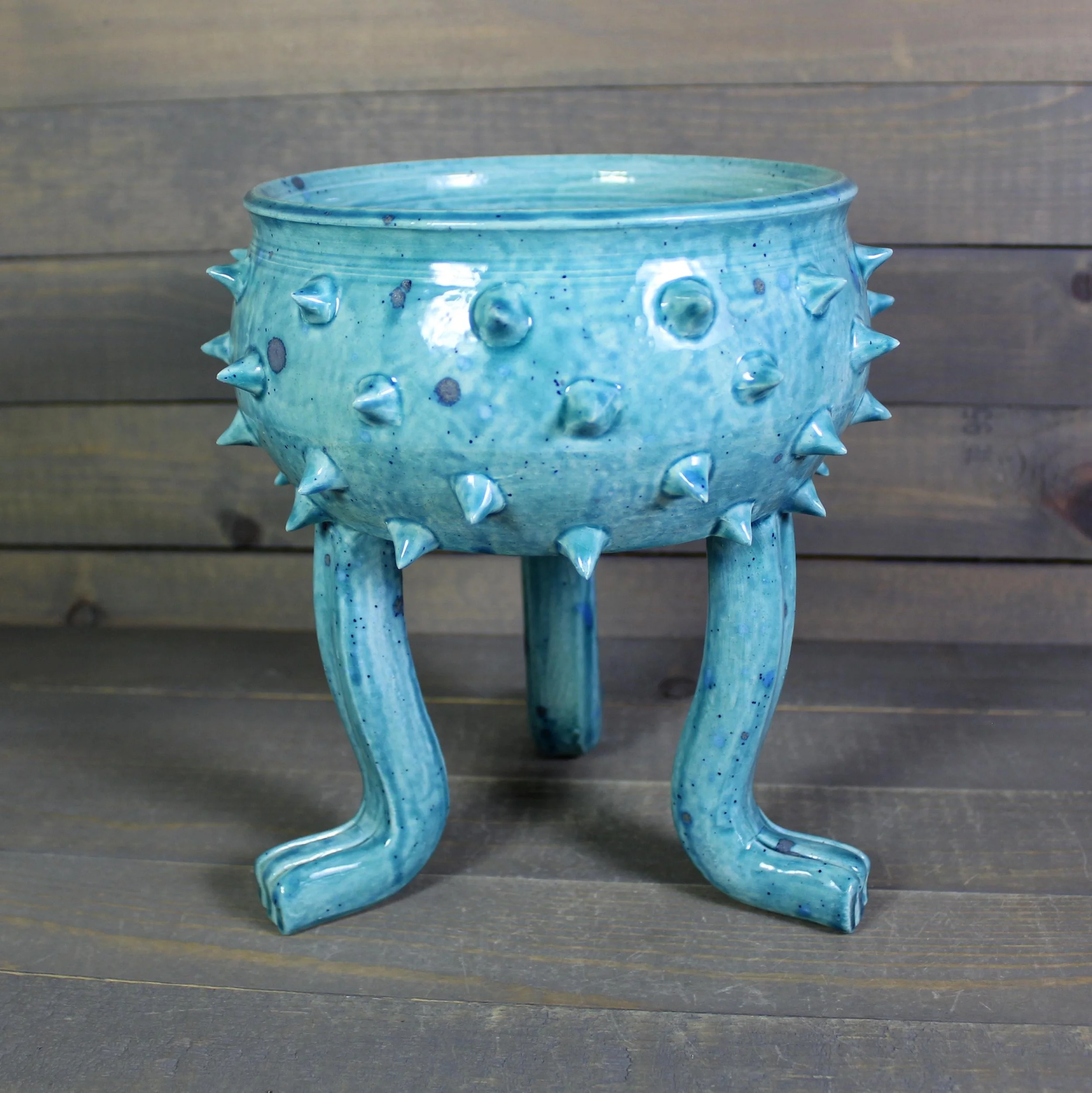 https://i.etsystatic.com/5126974/r/il/295f38/6505395036/il_fullxfull.6505395036_b6j4.jpg