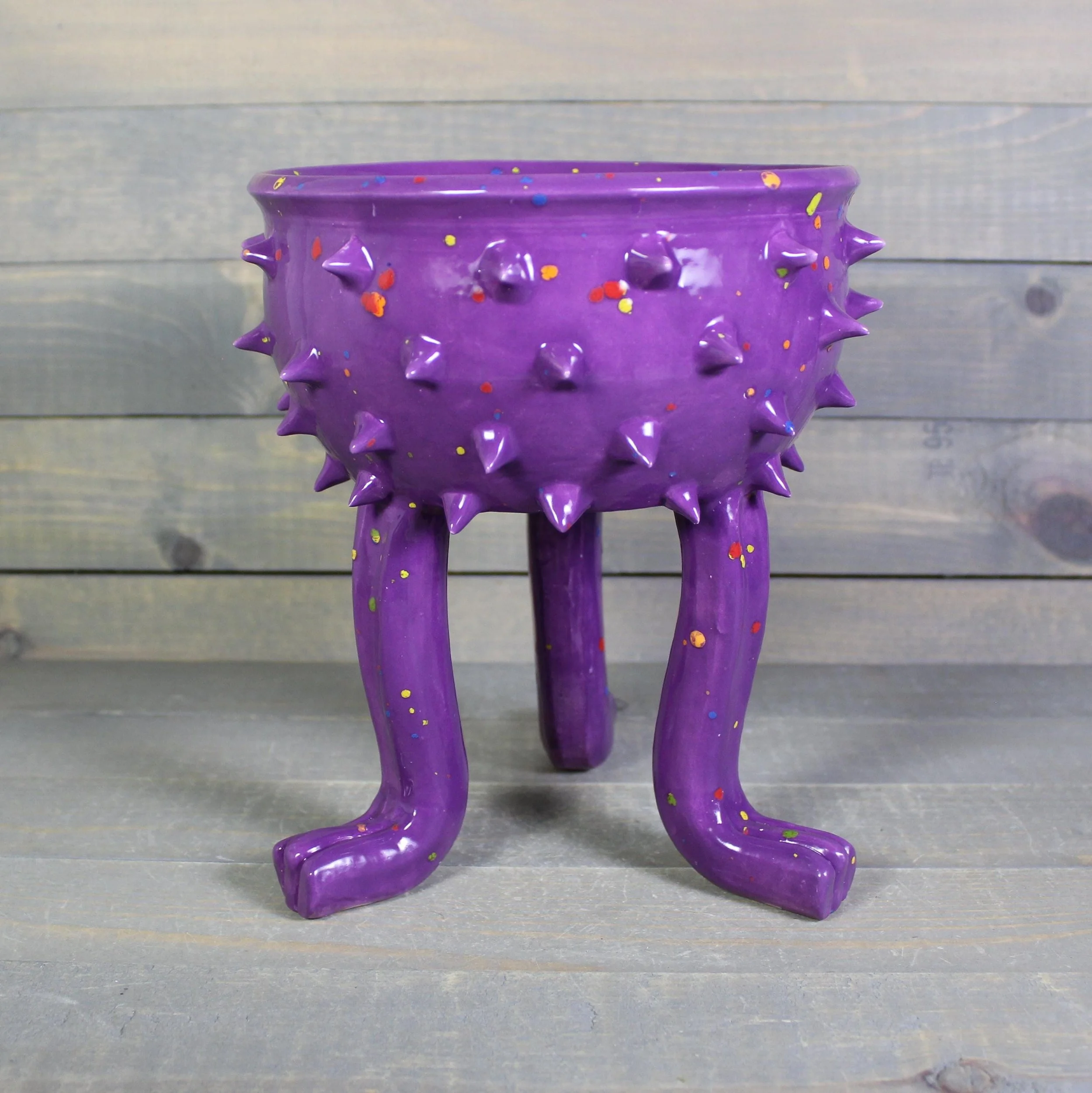 https://i.etsystatic.com/5126974/r/il/d02b2d/8399801695/il_fullxfull.8399801695_4vrg.jpg