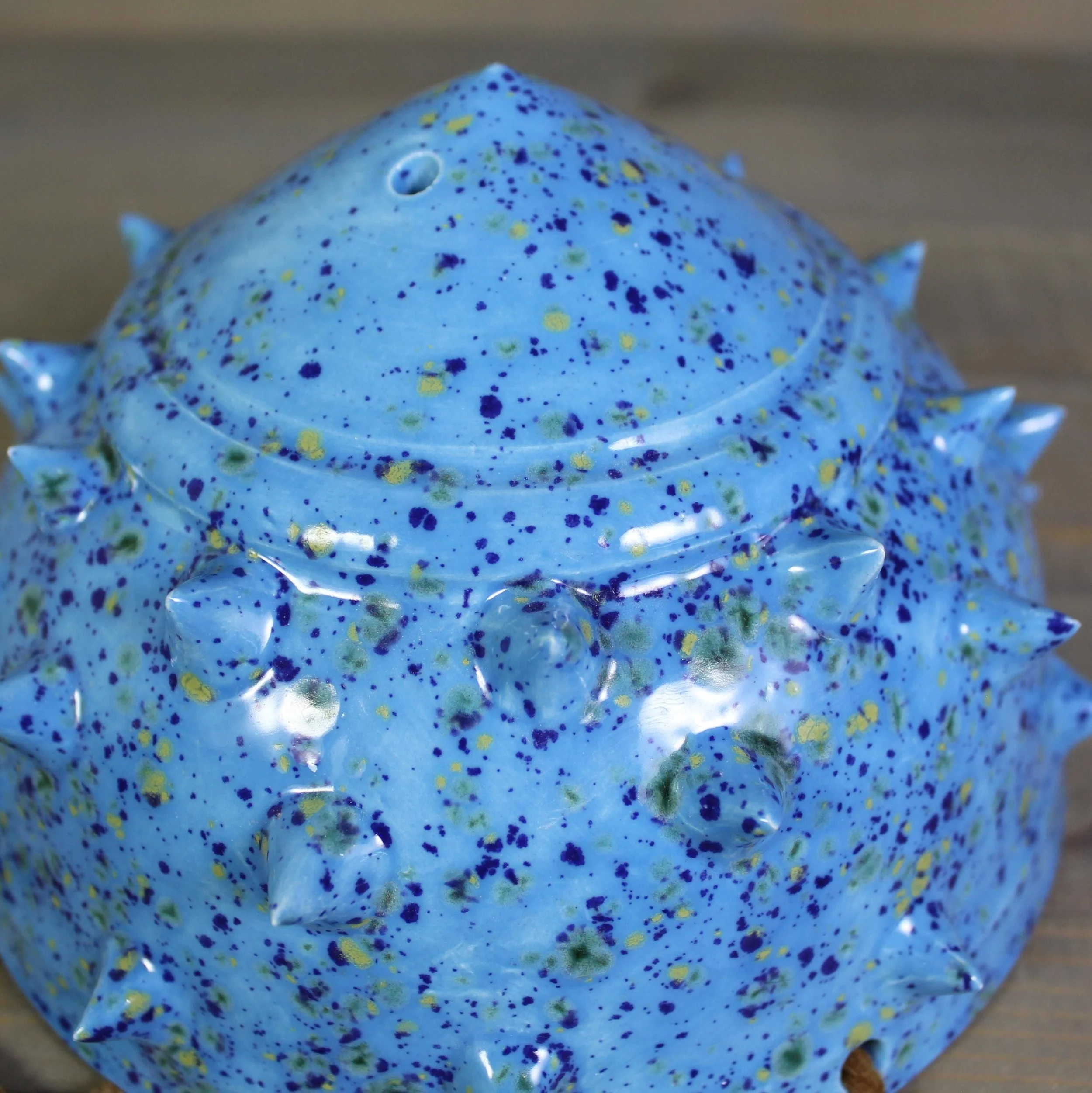 https://i.etsystatic.com/5126974/r/il/d23d10/8376843687/il_fullxfull.8376843687_tn9y.jpg