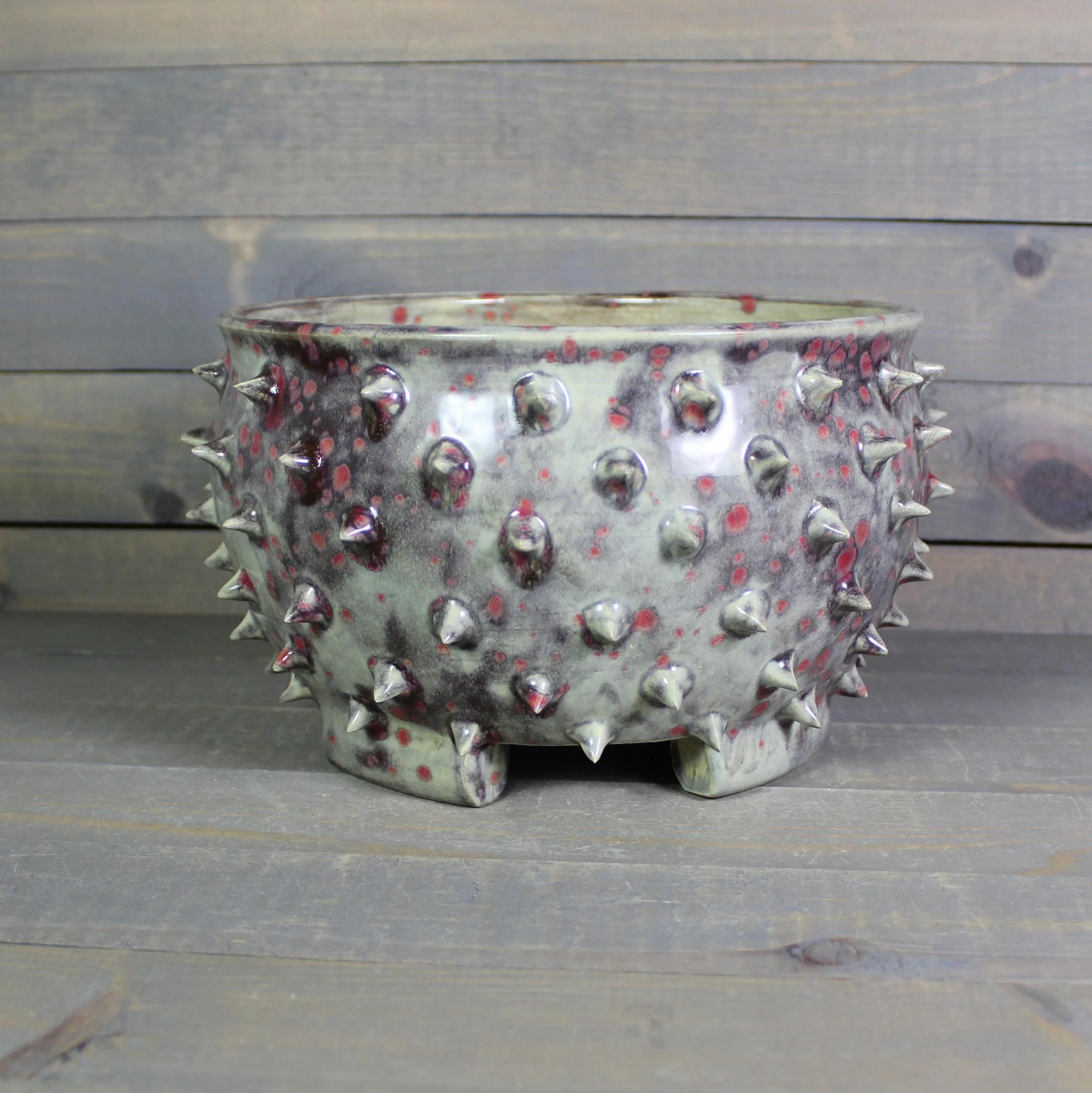 https://i.etsystatic.com/5126974/r/il/228cab/8107658676/il_fullxfull.8107658676_47r4.jpg