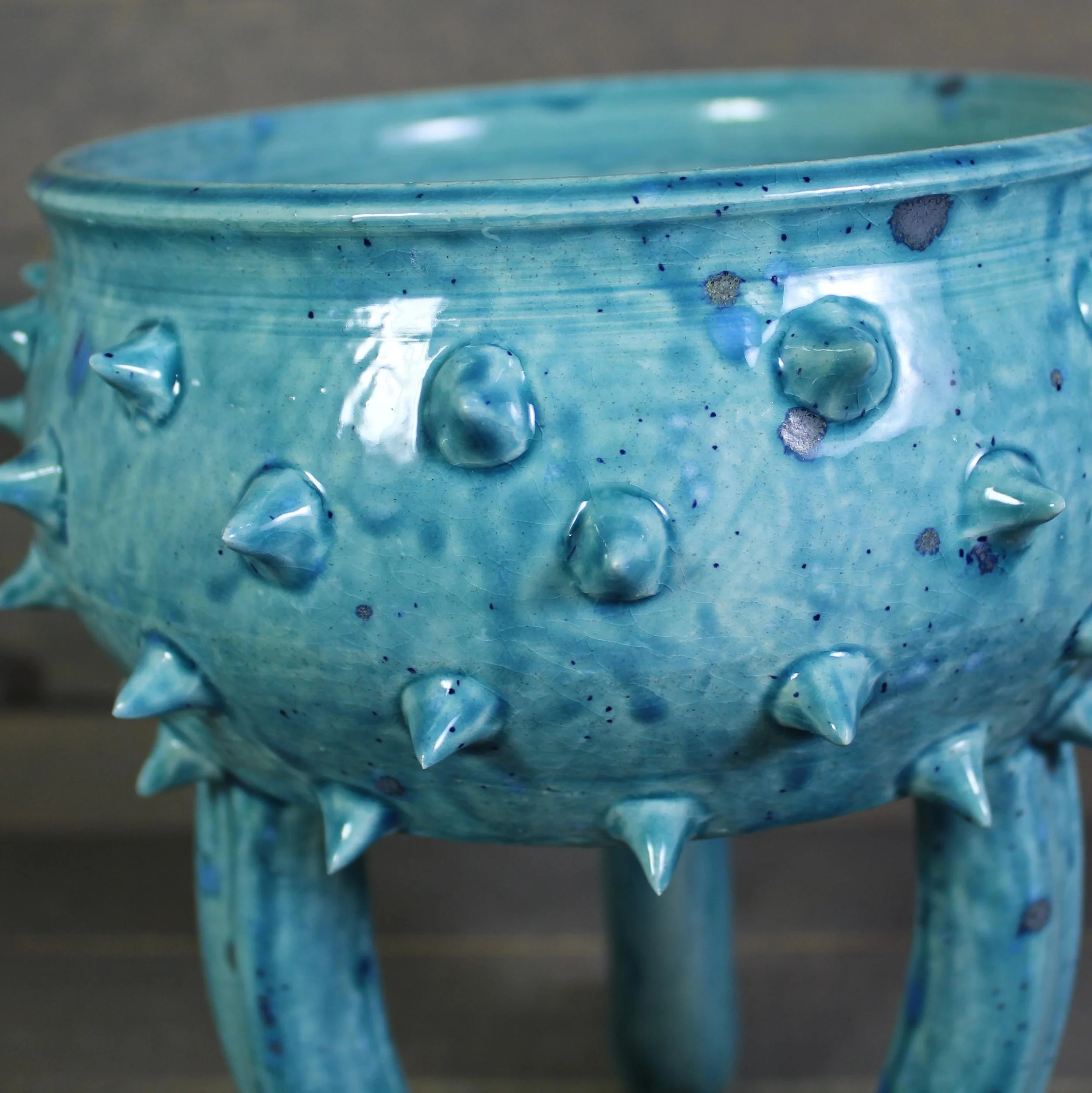 https://i.etsystatic.com/5126974/r/il/874628/6553522875/il_fullxfull.6553522875_6zh8.jpg