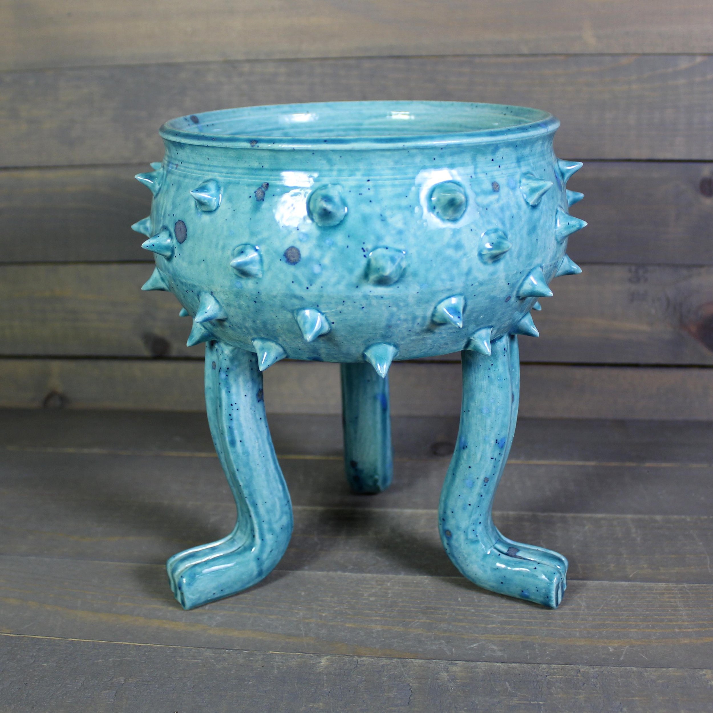 https://i.etsystatic.com/5126974/r/il/295f38/6505395036/il_fullxfull.6505395036_b6j4.jpg