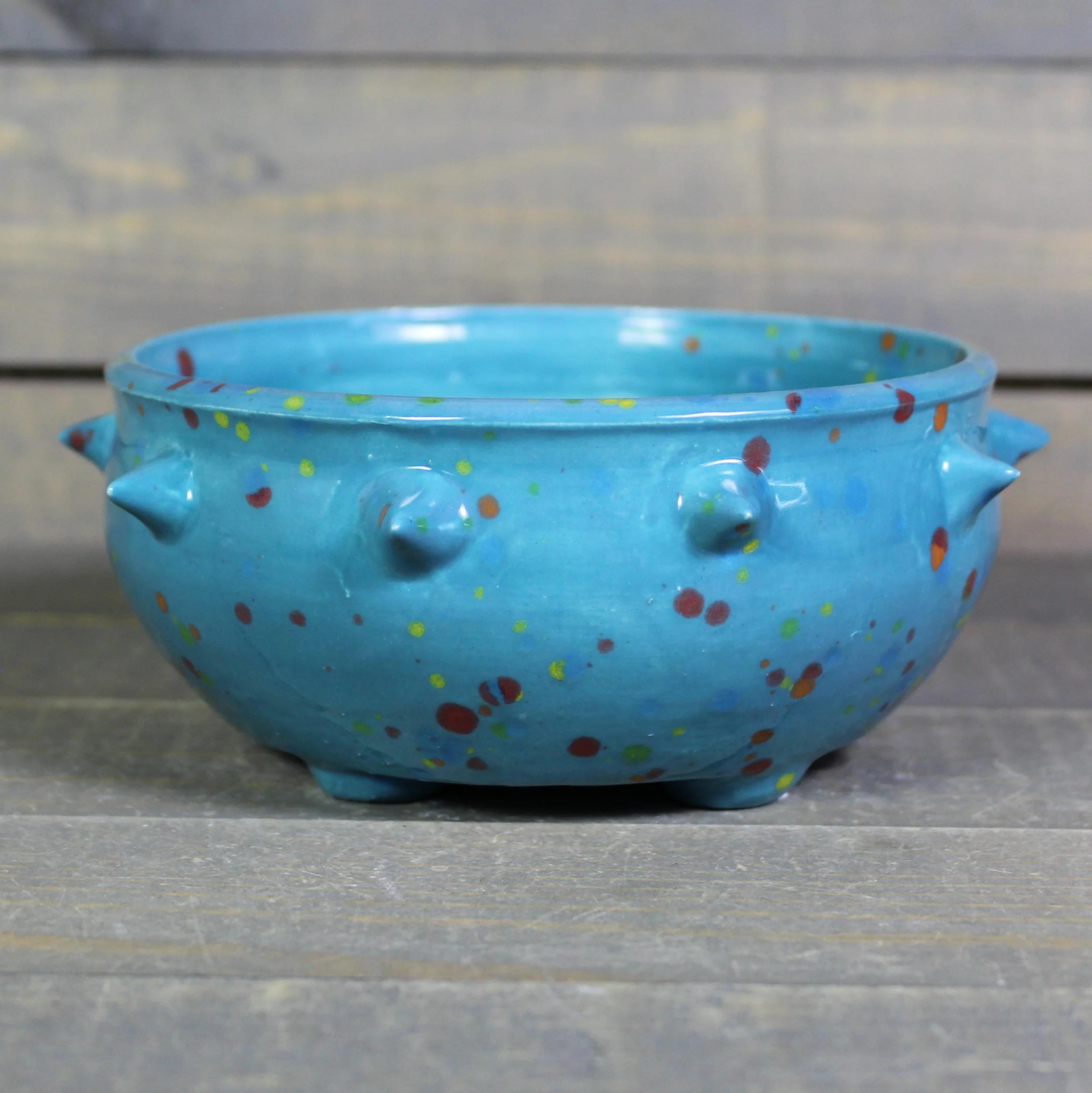 https://i.etsystatic.com/5126974/r/il/92869f/7567787541/il_fullxfull.7567787541_3lxt.jpg