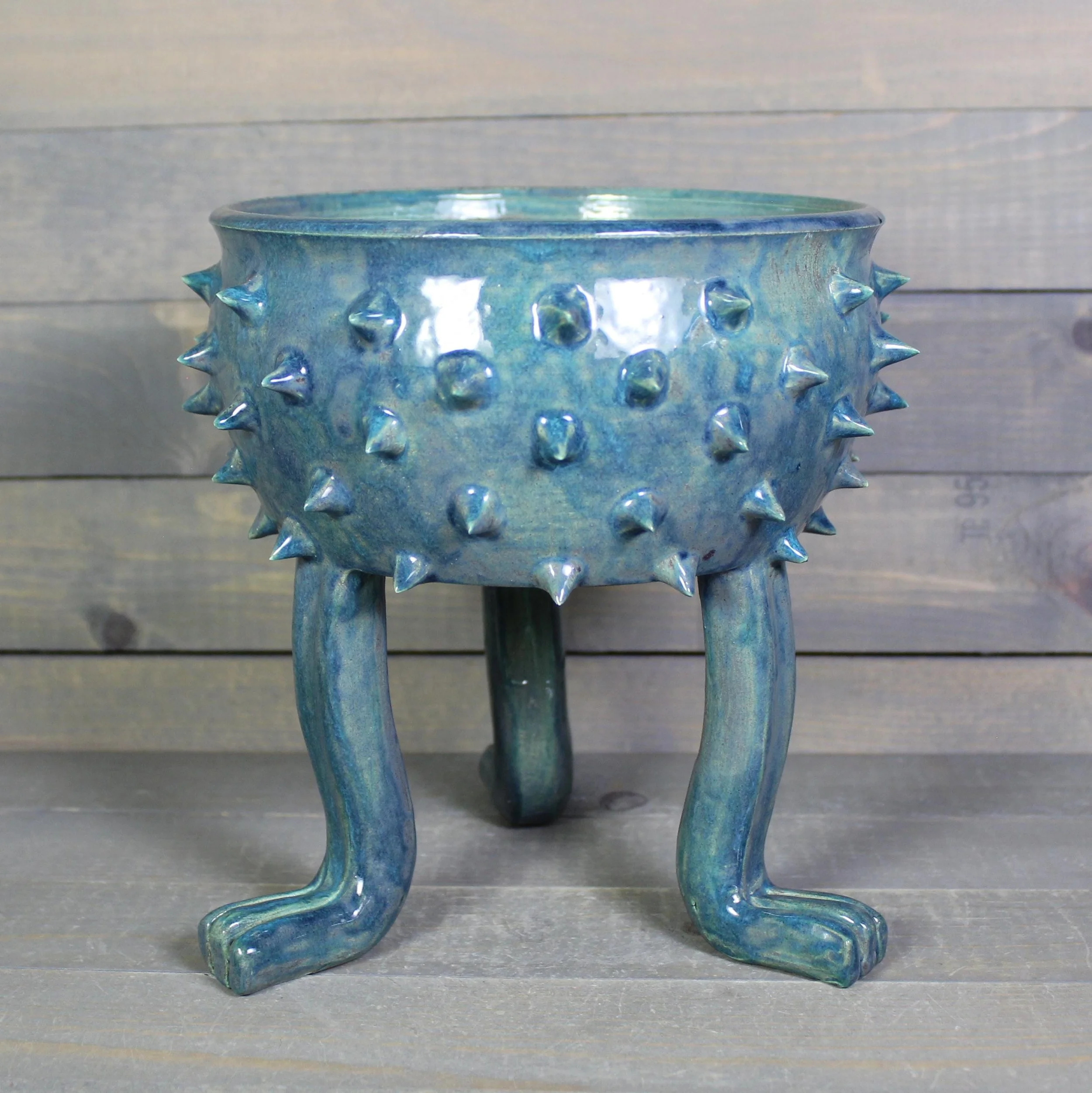 https://i.etsystatic.com/5126974/r/il/1c24be/8767384113/il_fullxfull.8767384113_4djo.jpg