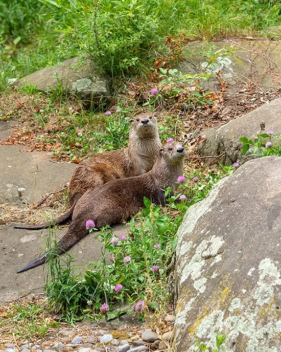 You Talkin' to Us?