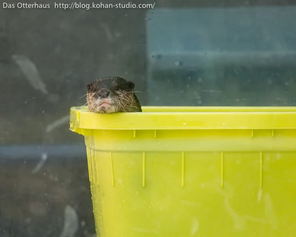 It's Lonely in This Tub. Want to Join Me for a Dip?