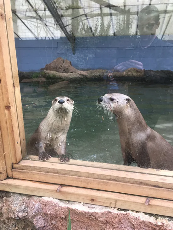 Psst, Human. The Treats Are in the Next Room. Half for You If You Bring Them to Us.