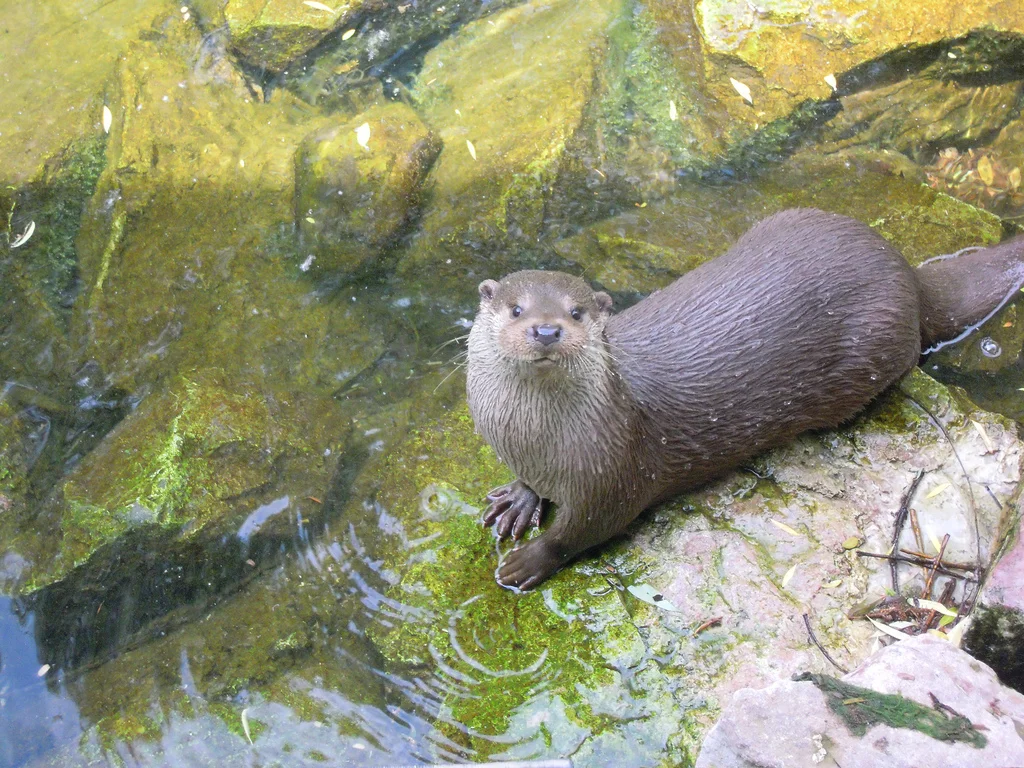 Hello Up There! Come Play with Me!