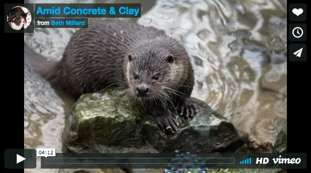 Amid Concrete & Clay