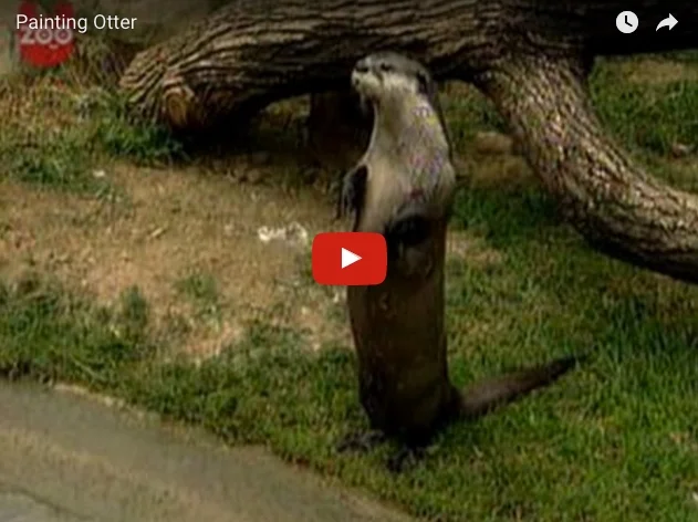 Otter Is an Artiste!