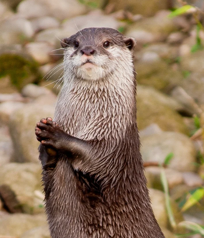Oh Hello. I Didn't See You There.