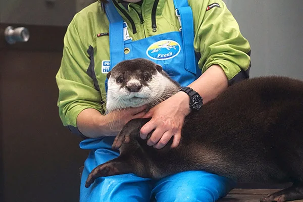 Human's Giving Me Cuddles!