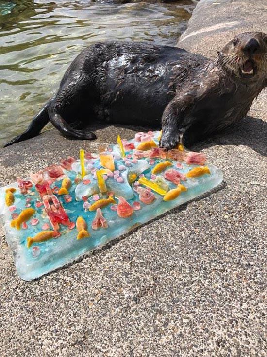 I Get a Whole Cake to Myself?!