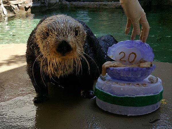 Happy Birthday, Lootas! 1