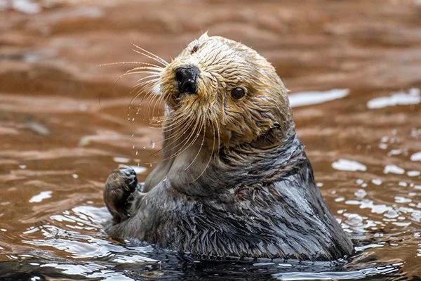 Who, Me?
