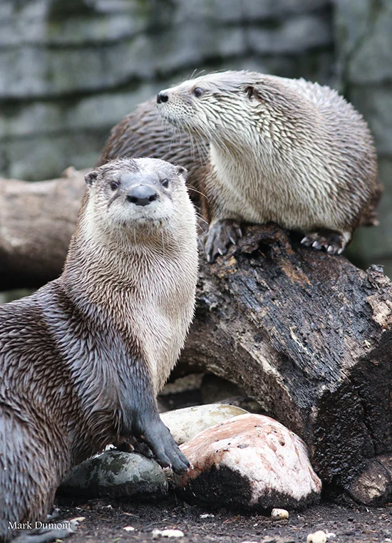 Hey! We're Trying to Have a Conversation Here!