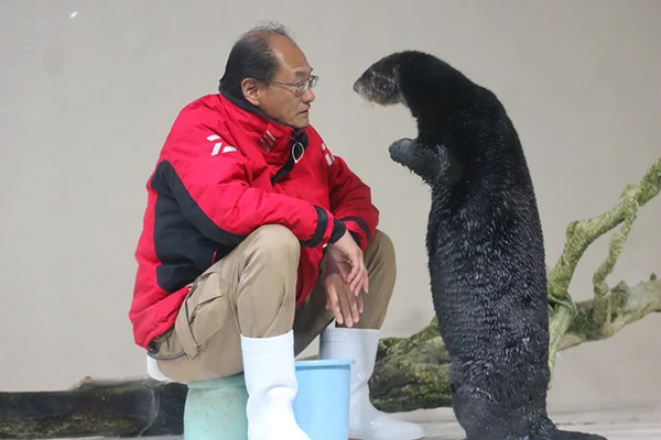 Sea Otter and Keeper Are Deep in a Conversation