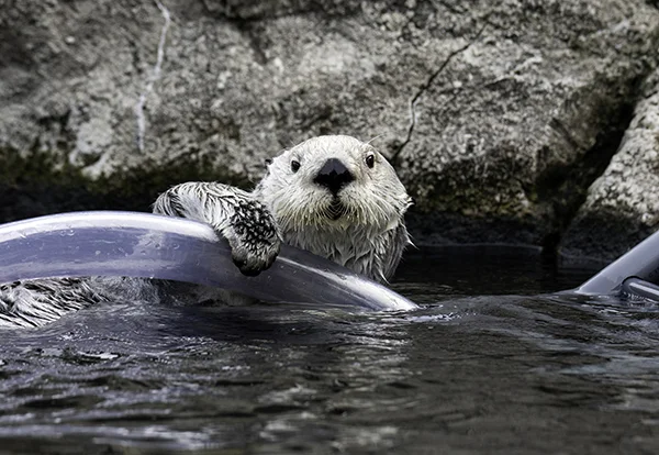 My Tube Needs a Treat Refill, Please