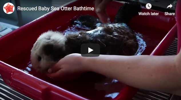 #TBT to Baby Hardy's Bathtime