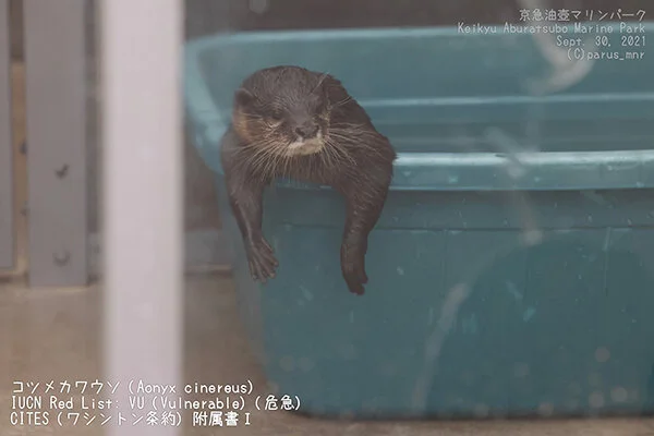Anyone Want to Get in the Tub With Me?