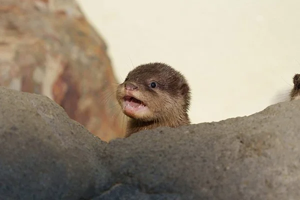 Hey! It's Almost the Weekend!