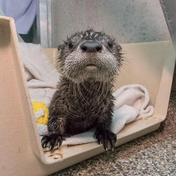 Me on a Monday Morning... Only Less Alert