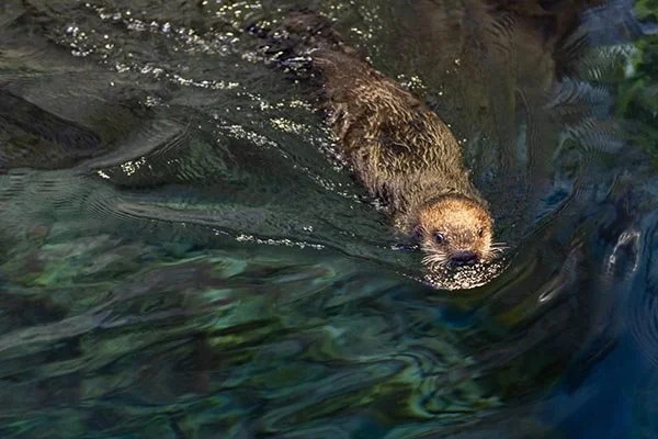 Dun. Dun Dun. Dun Dun Dun Dun Dun Dun Dun Dun Dun Dun DUN.