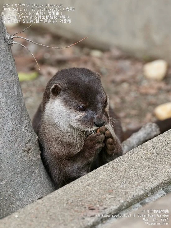 Designing. Plotting. Scheming.