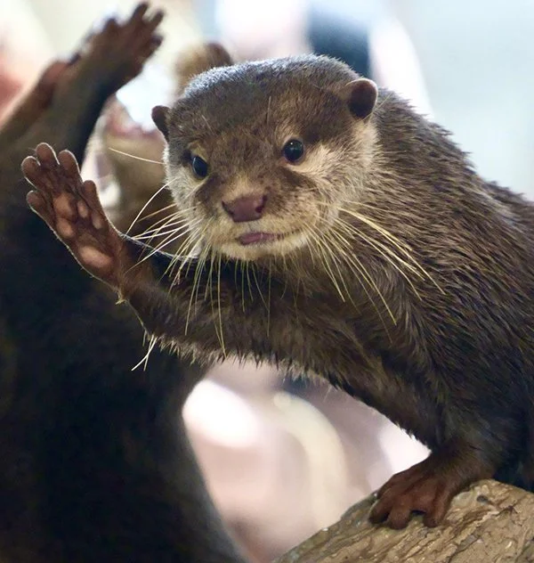 Waving Goodbye to the Week and Hello to the Weekend